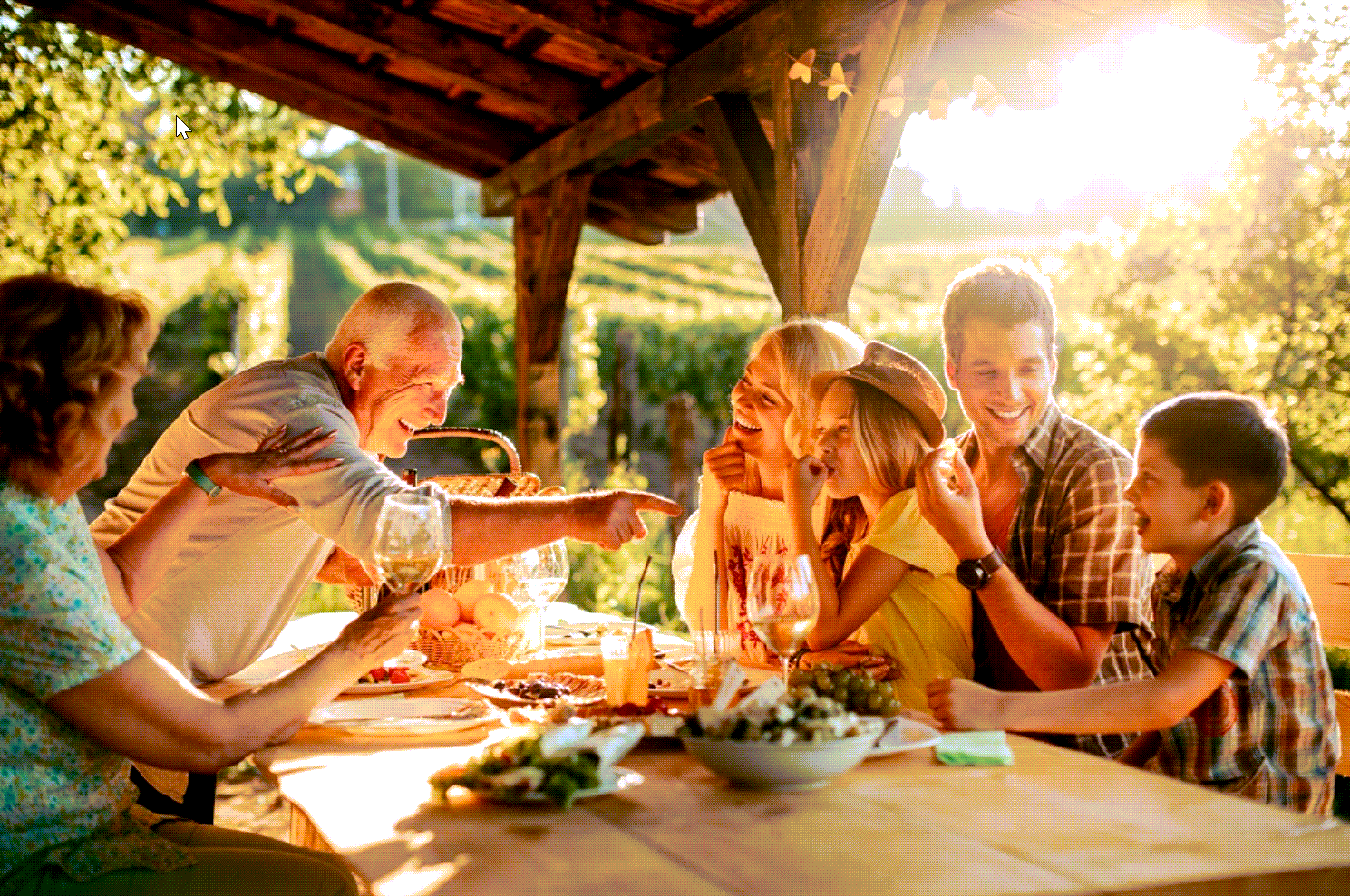 family picnic